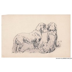 CAR-AEHP19-1050-ILLUSTRATEUR - VALETTE - Chiens