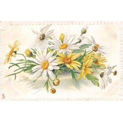 Illustrateur - n°87634 - M. Boulanger - Marguerites - Carte gaufrée, vendue en l'état