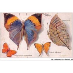 CAR-AAOP2-0109 - ILLUSTRATEUR - PAPILLONS