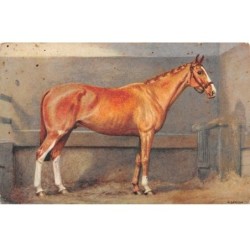 Illustrateur - n°72436 - Alderson - Cheval
