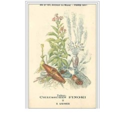 ILLUSTRATEUR.TABAC.CHAUSS URES FINOKI.5 USINES.