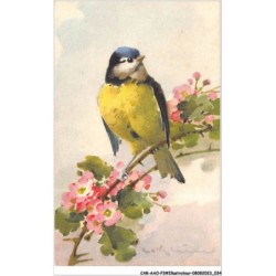 CAR-AAOP3-0202 - ILLUSTRATEUR - UN OISEAU , UNE BRANCHE ,FLEURS-KLEIN