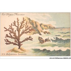 CAR-AAOP4-0294 - ILLUSTRATEUR - LES ALGUES MARIUES