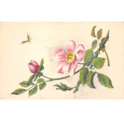 Illustrateur - n°64604 - Branche de Rose et insecte