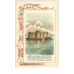 29.CHATEAU DU TAUREAU. n°17 bis.les ruines historiques de france.biscuits rouchier-bazel angouleme.
