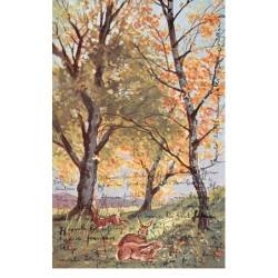 Illustrateur - n°70224 - HSM - Im Wald série II - Lièvres dans une forêt