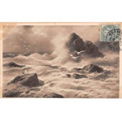 Illustrateur - n°88644 - Oiseaux sur des rochers et volant au milieu d'une mer agitée