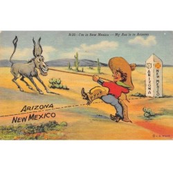 Illustrateur - n°88469 - Arizona New Mexico - n°26b I'm in New Mexico ...