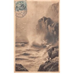 Illustrateur - n°88656 - Oiseaux sur des rochers et volant en plein milieu de la mer
