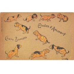 Illustrateur - n°64580 - Etudes d'Animaux - Chiens Bassets