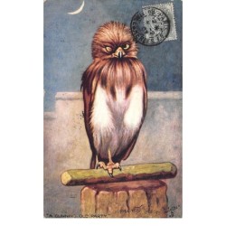 Illustrateurs - n°69169 - A Cunning Old Party - Un oiseau