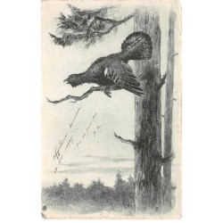 Illustrateur - n°89976 - Gibier sur une branche d'un arbre - Chasse