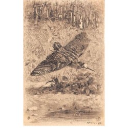 Illustrateur - n°90006 - Gibier volant au bord d'une mare - Chasse