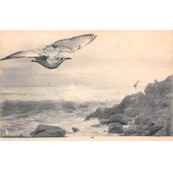 Illustrateur - n°89858 - Oiseau volant au-dessus de rochers près de la mer