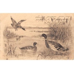 Illustrateur - n°90007 - Canards - Chasse