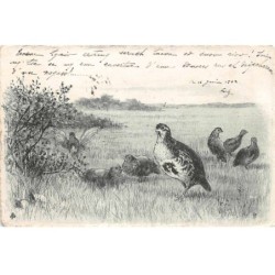 Illustrateur - n°90004 - Poule faisane et ses petits - Chasse