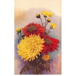Illustrateur - n°89856 - Chrysanthemums - Chrysanthèmes jaunes et rouges