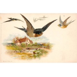 Illustrateur - n°89967 - Hirondelles volant au-dessus d'une maison