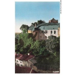 CAR-ADSP10-0591-52 - CHAUMONT - Le chateau et le faubourg des Tanneries