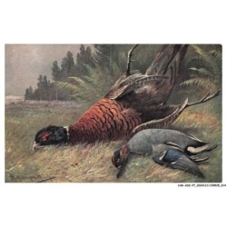CAR-ADZP7-0393-CHASSE - Des oiseaux tombé au sol