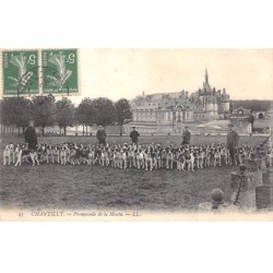 CHASSE - SAN37872 - Chantilly - Promenade de la Meute
