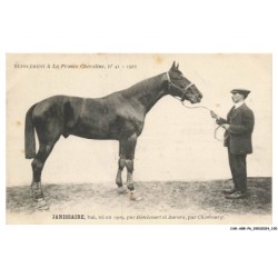 CAR-ABRP6-0543-HIPPISME - JANISSAIRE - Bai né en 1909 - Par bémècourt et aurore - Par chambourg