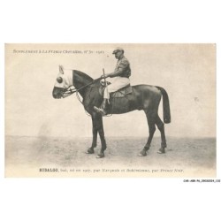 CAR-ABRP6-0559-HIPPISME - HIDALGO - Bai né en 1907 - Par narquois et bohémienne - Par prince noir
