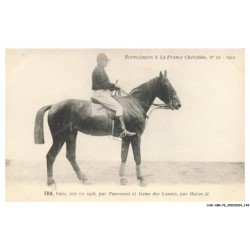 CAR-ABRP6-0565-HIPPISME - IDA - Baie née en 1908 - Par tournesol et dame des landes - Par hulan II