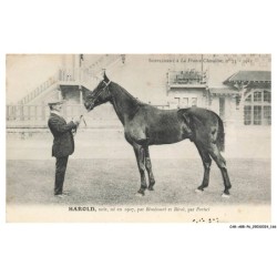 CAR-ABRP6-0576-HIPPISME - HAROLD - Noir né en 1907 - Par bémécourt et béroé - Par portici