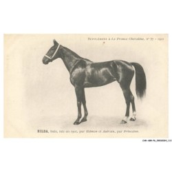 CAR-ABRP6-0549-HIPPISME - HILDA - Baie née en 1907 - Par hetman et autrain - Par princeton
