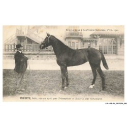 CAR-ABRP6-0537-HIPPISME - INEDITE - Baie née en 1908 - Par triomphant et bataria - Par sébastopol