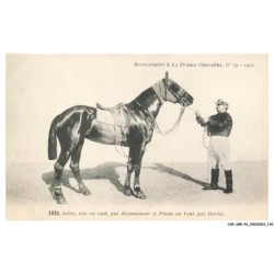CAR-ABRP6-0563-HIPPISME - ISIS - Noire née en 1908 - Par beaumanoir et plume au vent - Par harley