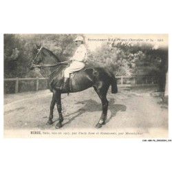 CAR-ABRP6-0545-HIPPISME - HIRIE - Baie née en 1907 - Par uncle sam et séduisante - Par moonlighter