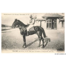 CAR-ABRP6-0554-HIPPISME - ITA EST - Bai-brun né en 1908 - Par narquois et sangaride - Par nes