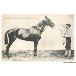 CAR-ABRP6-0573-HIPPISME - HARMONIE - Alezane née en 1907 - Par trinqueur et siradella - Par fuschia