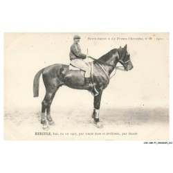 CAR-ABRP7-0587-HIPPISME - BERCULE - Bai né en 1907 - Par uncle sam et brillante - Par ready