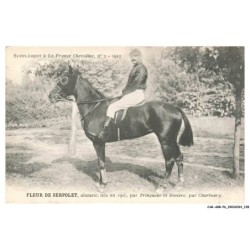 CAR-ABRP6-0572-HIPPISME - FLEUR DE SERPOLET - Alezane née en 1905 - Par trinqueur et rosière - Par cherbourg
