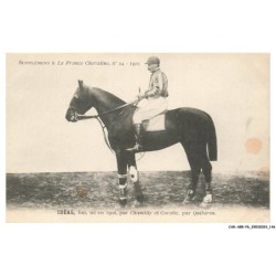 CAR-ABRP6-0566-HIPPISME - IDEAL - Bai né en 1908 - Par chantilly et coralie - Par quiberon