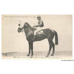 CAR-ABRP6-0555-HIPPISME - IRIS - Alezan né en 1908 - Par talenne et épouvante - Par zut