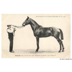 CAR-ABRP7-0594-HIPPISME - KAOLIN - Bai né en 1910 - Par dangeul et esther - Par ukase Ier