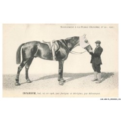 CAR-ABRP6-0561-HIPPISME - INFANDUM - Bai né en 1908 - Par juvigny et bérégina - Par sébastopol