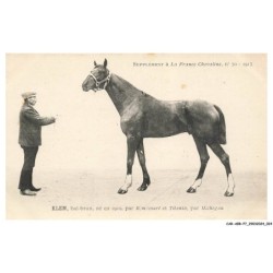 CAR-ABRP7-0593-HIPPISME - KLEM - Bai-brun né en 1910 - Par bémécourt et titania - Par michigan