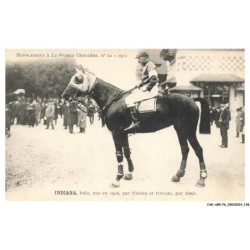 CAR-ABRP6-0567-HIPPISME - INDIANA - Baie né en 1908 - Par vindex et parade - Par émir