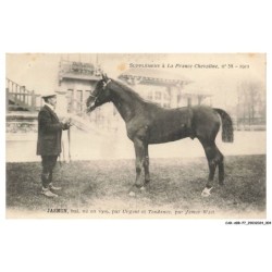 CAR-ABRP7-0583-HIPPISME - JASMINE - Bai né en 1909 - Par urgent et tendance - Par james watt