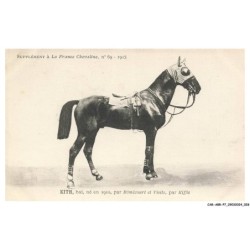 CAR-ABRP7-0595-HIPPISME - KITH - Bai né en 1910 - Par bémécourt et visite - Par kiffis