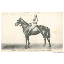 CAR-ABRP6-0570-HIPPISME - IBERIA - Bai-brune né en 1908 - Par narquois et sornelle - Par harley