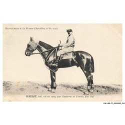 CAR-ABRP7-0590-HIPPISME - JAVELOT - Bai né en 1909 - Par sauterne et uranie - Par ouf
