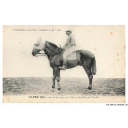 CAR-ABRP6-0575-HIPPISME - HAVRE SAC - Noir né en 1907 - Par urffe et qualifiée - Par fuschia