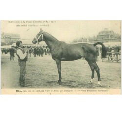 HIPPISME.n°11276.IDA.1er PRIME POULICHES NORMANDES