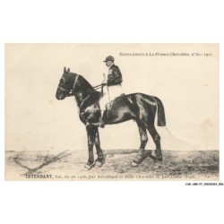 CAR-ABRP7-0584-HIPPISME - INTENDANT - Bai né en 1908 - Par sébastopol et belle charlotte II - Par james watt